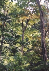131.jpg