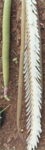123.jpg