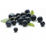 acai2.jpg